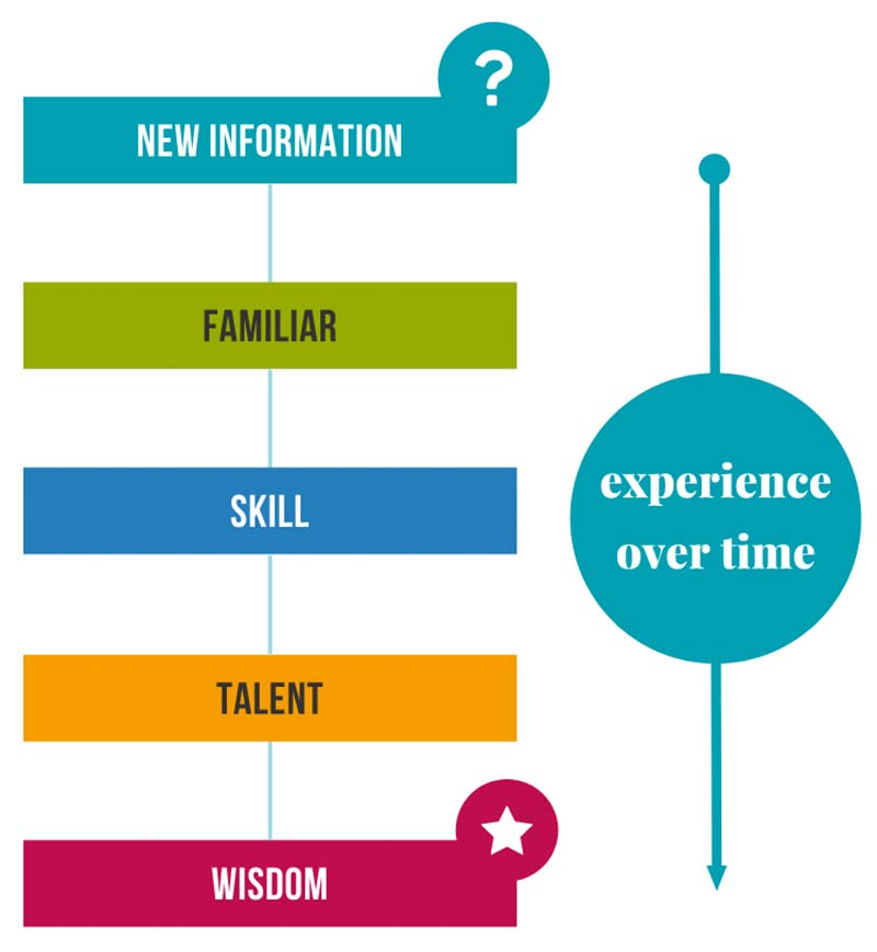 progressive stages of the learning process, from finding out the new information to become experienced with