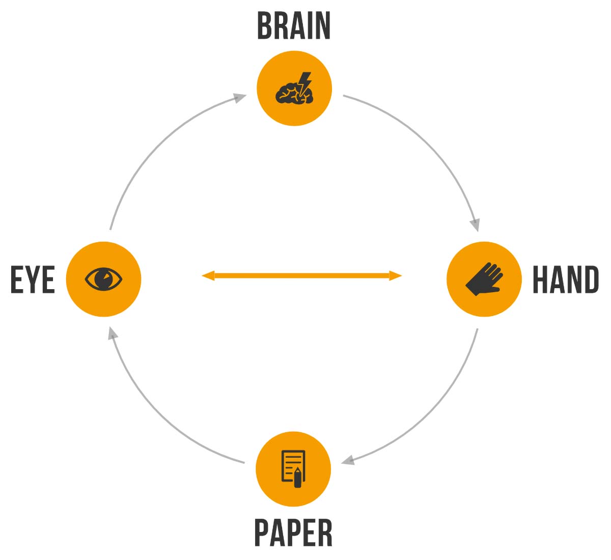 schematic in 4 points showing the brain-hand coordination during a drawing process