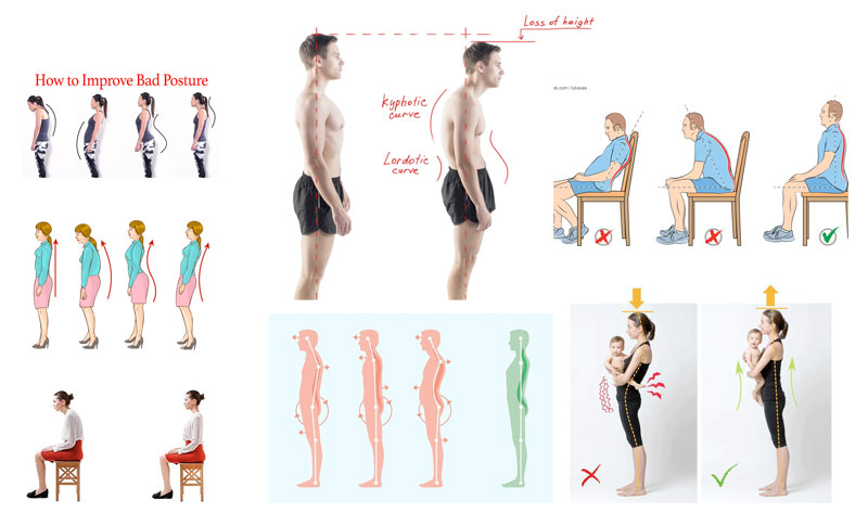 body language posture of sitting and standing illustrating the line of the action principle