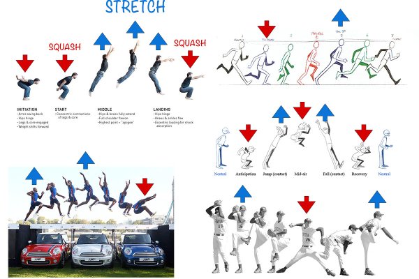 various motion sequences of a jump, run, pitch illustrating the principle of squash and stretch