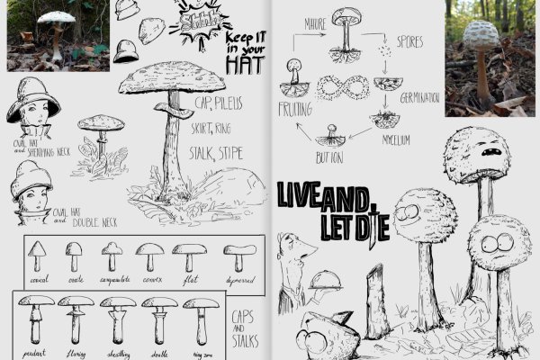 Creativity, Creative Mind and the Source of Creativity article_038-Creative_Sketchbook_page_11 nature photography and sketch