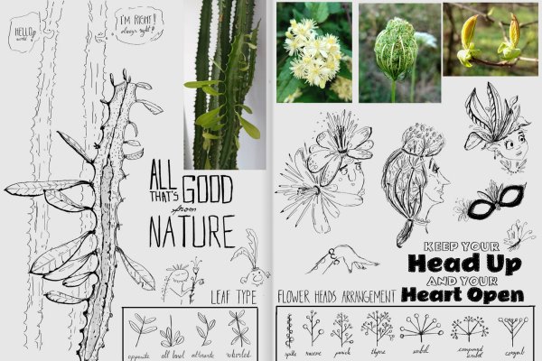 Creativity, Creative Mind and the Source of Creativity article_038-Creative_Sketchbook_page_6 nature photography and sketch
