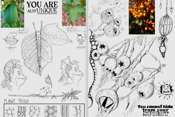 Creativity, Creative Mind and the Source of Creativity article_038-Creative_Sketchbook_page_7 nature photography and sketch