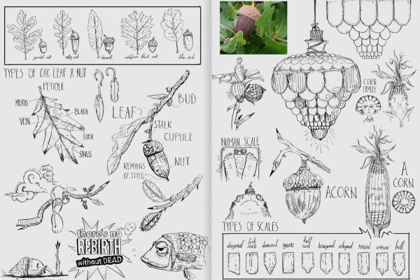 Creativity, Creative Mind and the Source of Creativity article_038-Creative_Sketchbook_page_9 sketchbook