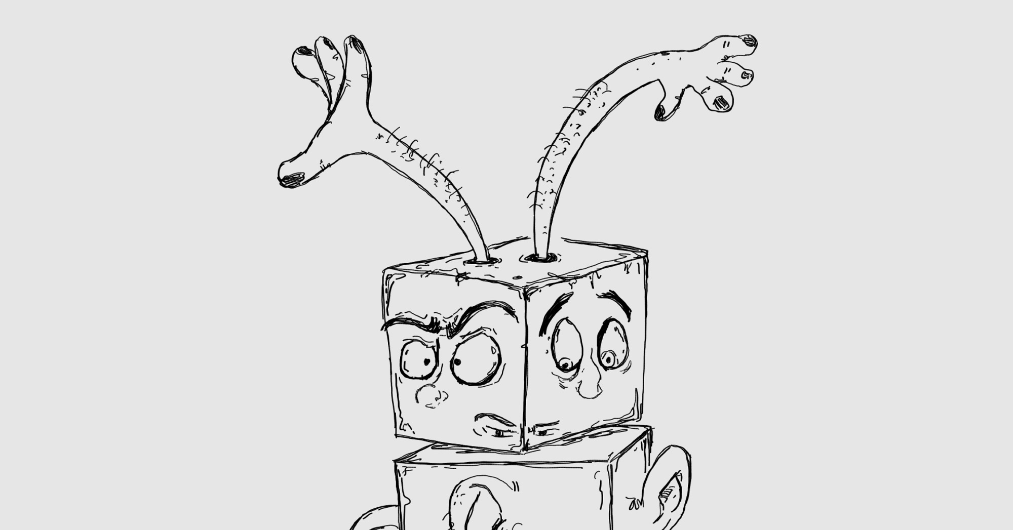 Chaos or Order? The Choice is Yours