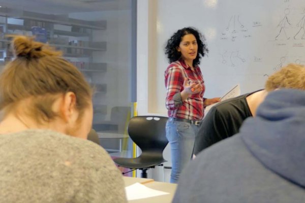 higher education lecturer